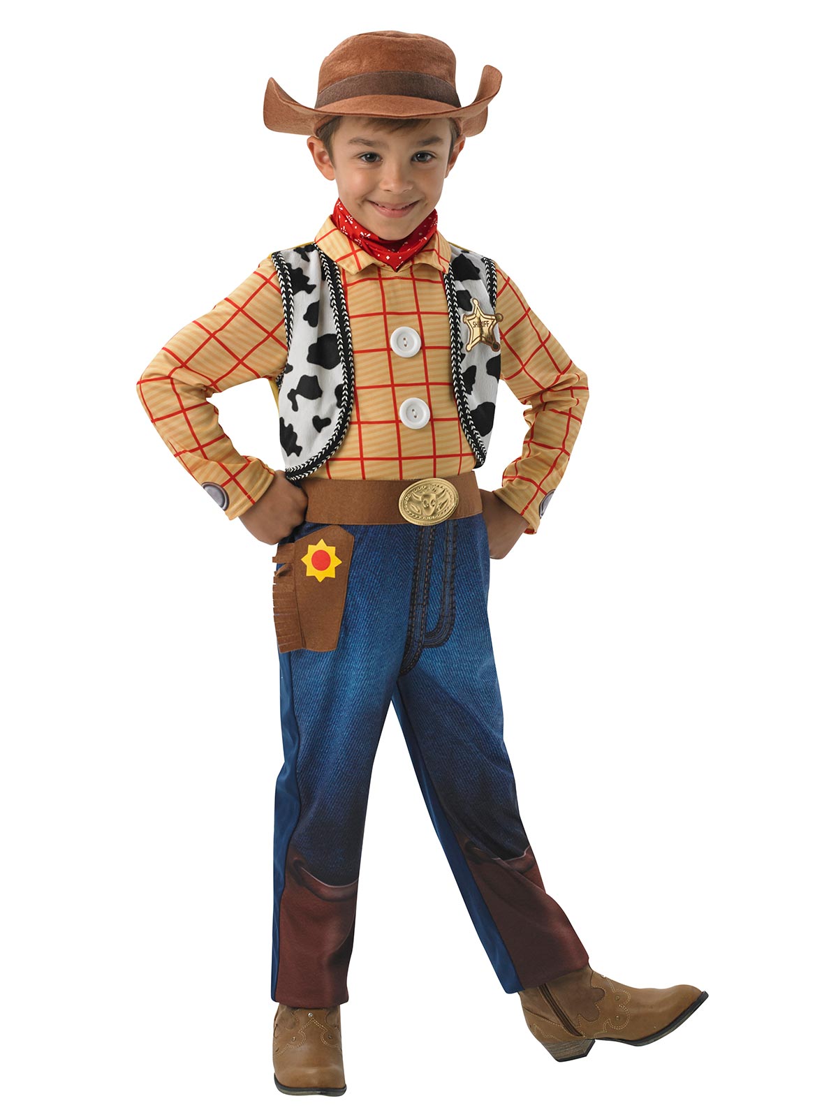 Woody Deluxe Costume, Child