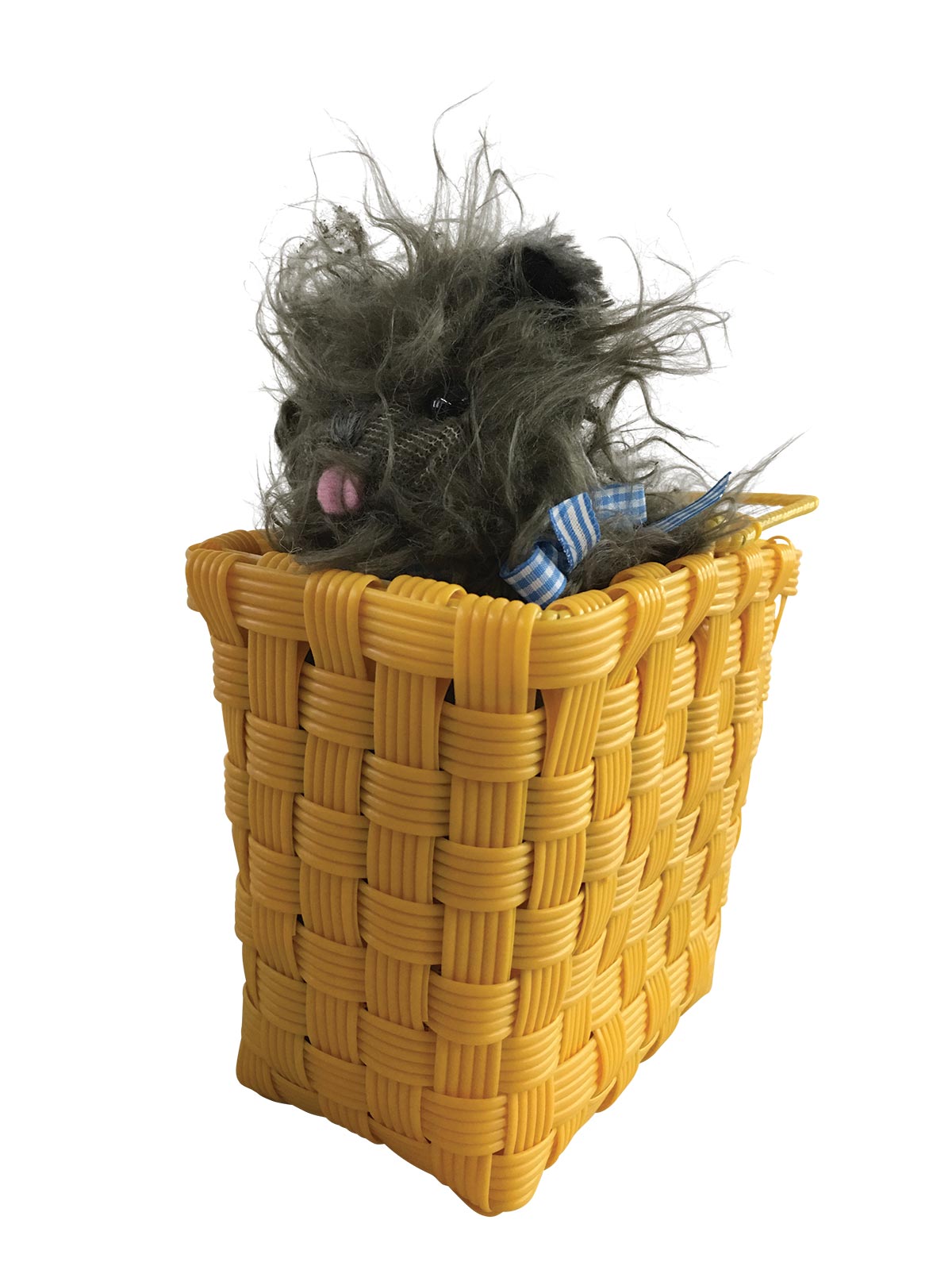 Toto In A Basket