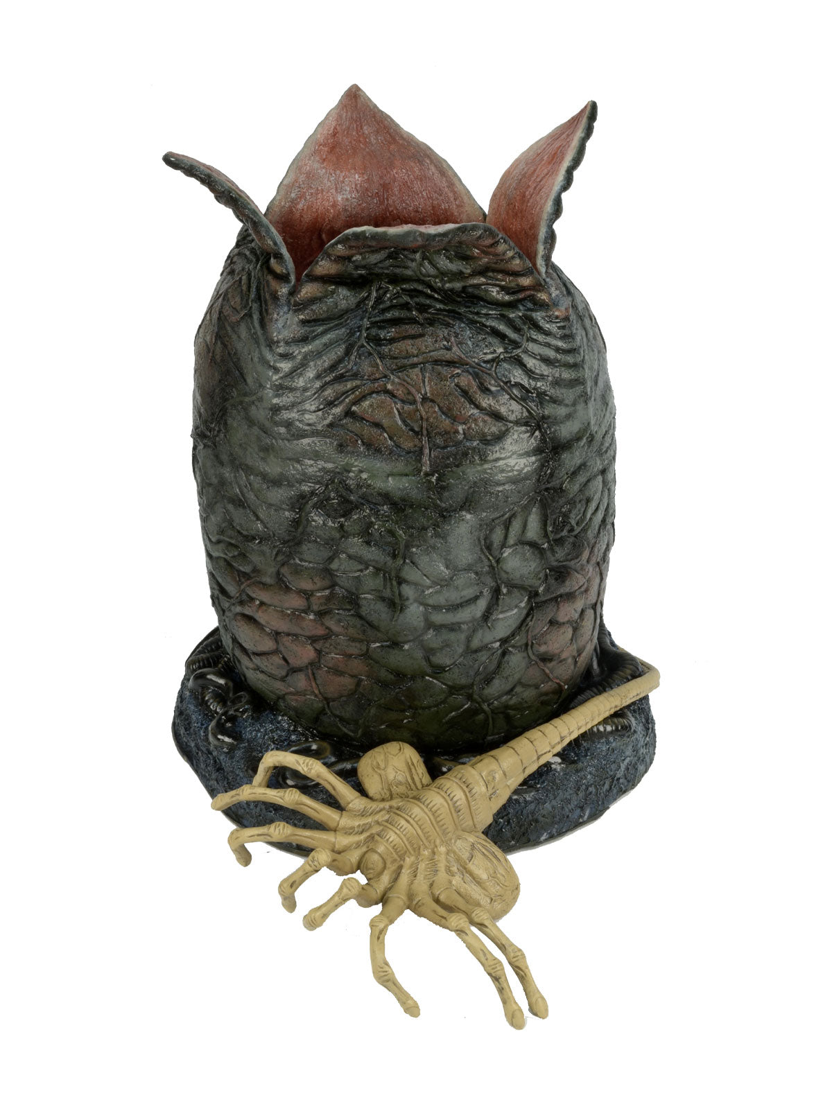 Alien Life-Size Egg And Facehugger Foam Replica