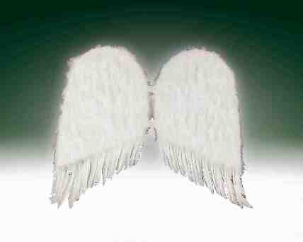 Angel Wings - Feathery White