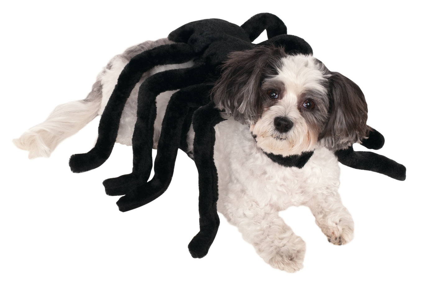 Spider Harness Pet Costume