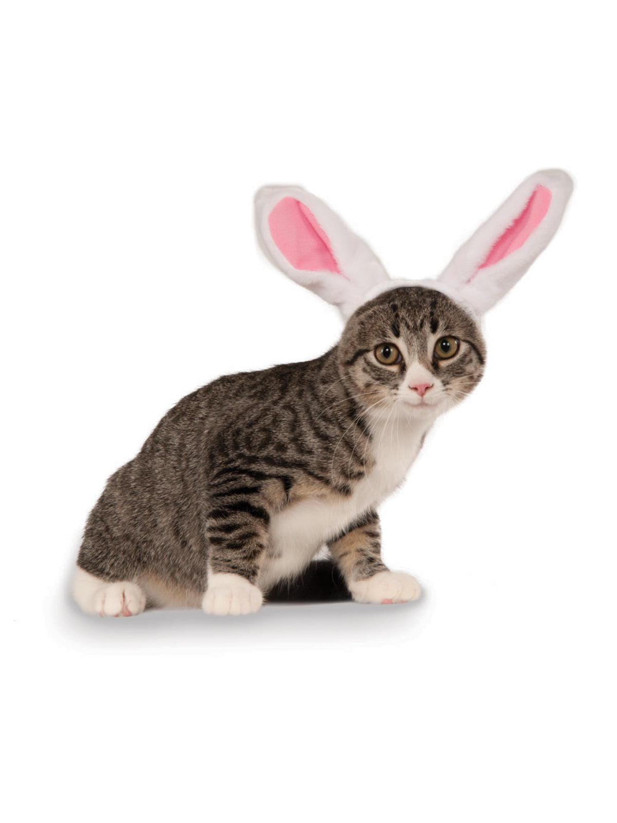 Bunny Ears Pet Accessory