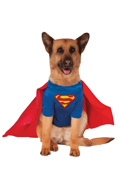 Superman Big Dog Pet Costume