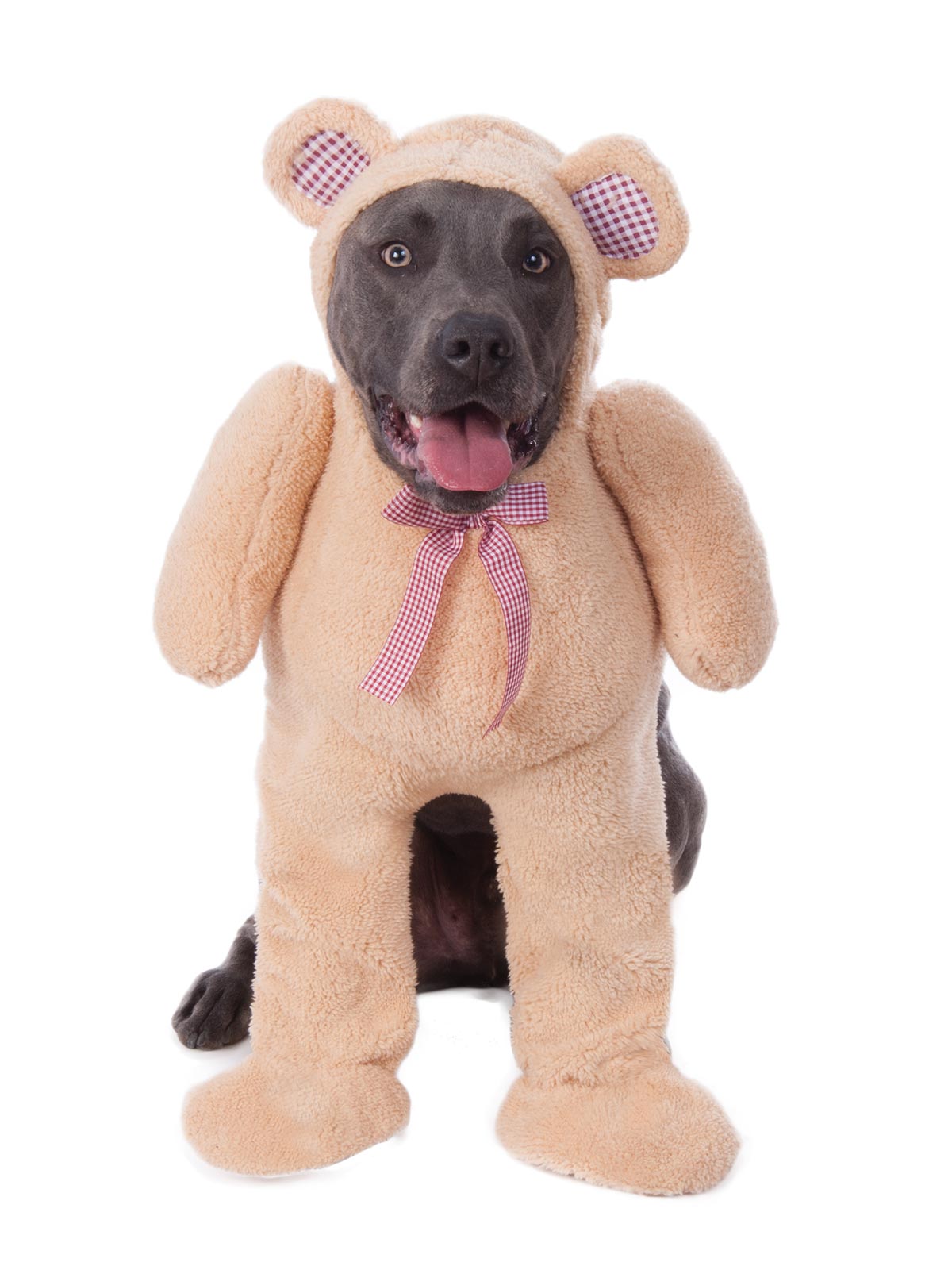 Walking Teddy Bear Big Dogs Pet Costume