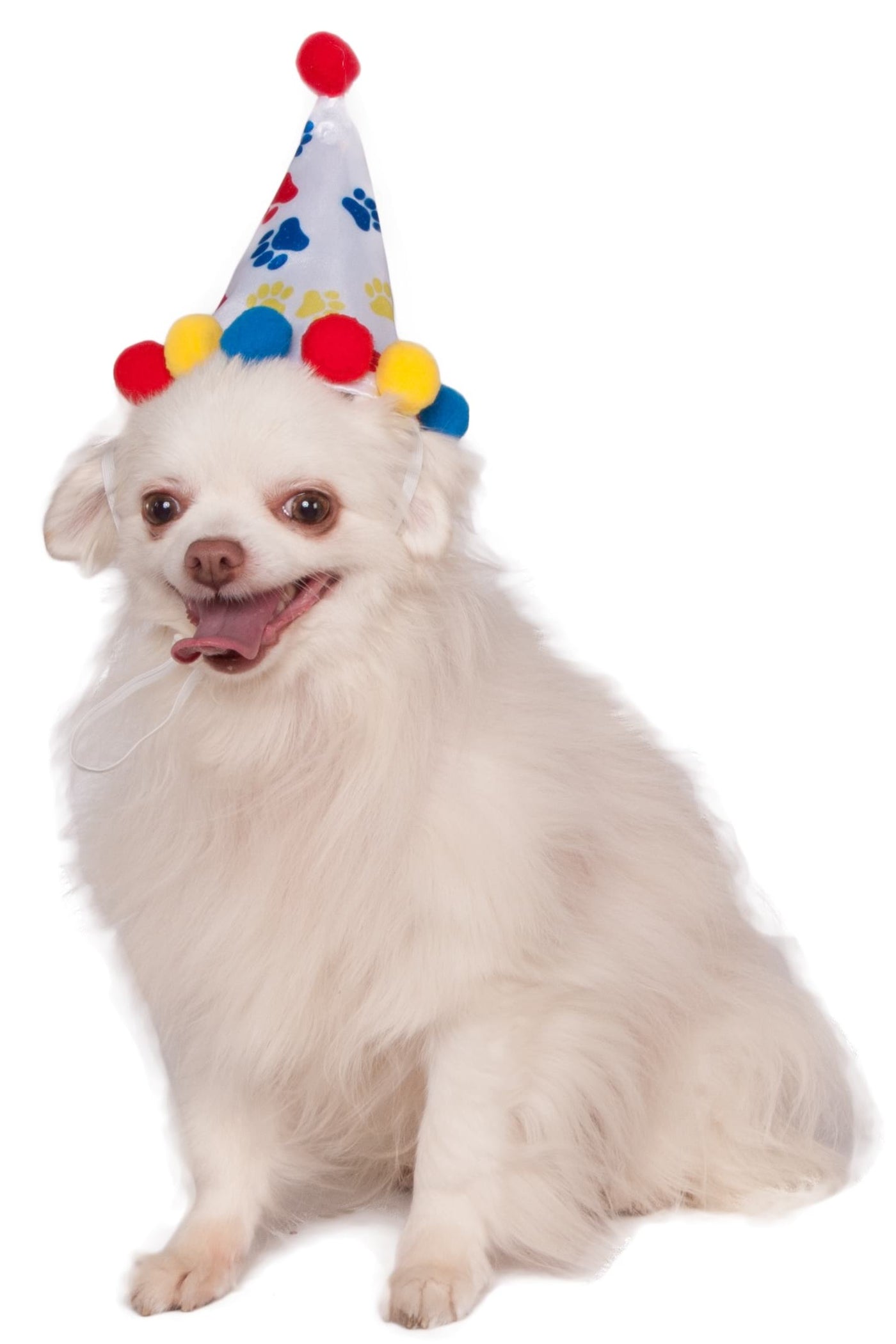 Paw Print Boy Pet Birthday Hat Accessory