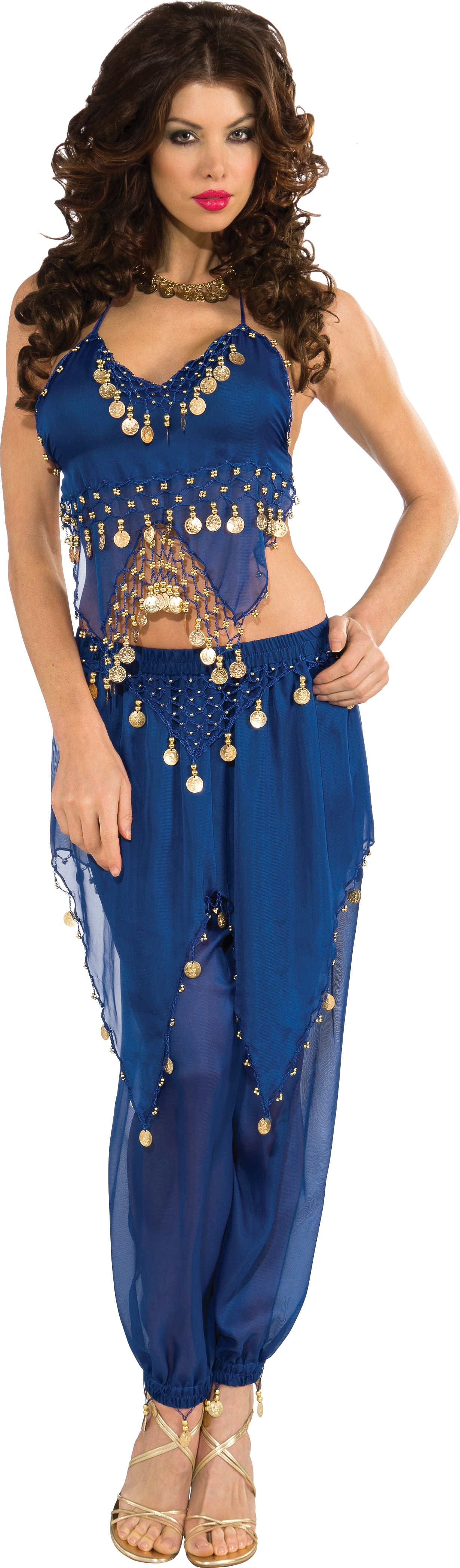 Blue Belly Dancer Costume, Adult