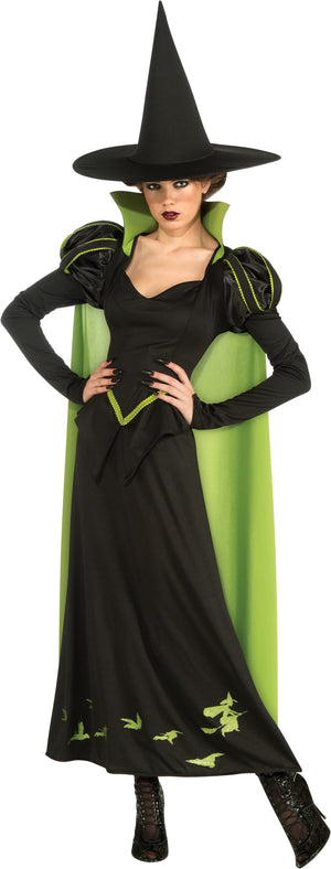 Wicked Witch Deluxe Costume, Adult